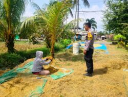 Bhabinkamtibmas Dukung Petani Eyat Mayang, Panen Maksimal!