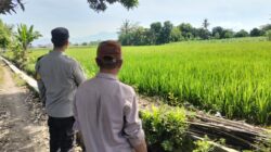 Sinergi Polri dan Petani: Wujudkan Ketahanan Pangan di Labuapi