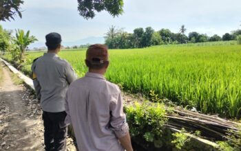 Polisi Turun ke Sawah! Bhabinkamtibmas Dukung Petani di Labuapi