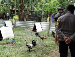 Polsek Batulayar: Garda Terdepan Keamanan Lombok Barat