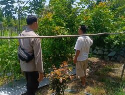 Polsek Labuapi Apresiasi Warga Manfaatkan Pekarangan untuk Ketahanan Pangan