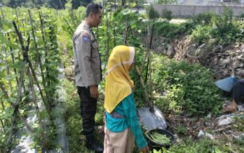 Sinergi Polri dan Petani, Bhabinkamtibmas Dorong Optimalisasi Lahan