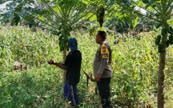 Polisi dan Petani Bersinergi, Ketahanan Pangan Jadi Prioritas!