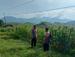 Bhabinkamtibmas Desa Marada pantau pemanfaatan lahan pertanian warga