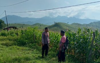 Bhabinkamtibmas Desa Marada pantau pemanfaatan lahan pertanian warga