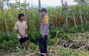 Bhabinkamtibmas Desa Marada Pantau Pengolahan Lahan Pertanian Warga