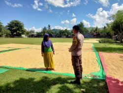 Bhabinkamtibmas Desa Cempi Jaya Pantau Panen Jagung di Dusun Langudi, Tantangan Cuaca Jadi Kendala