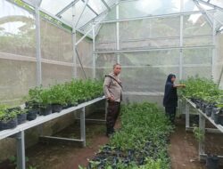 Bhabinkamtibmas Ajak Warga Tanam Cabai, Jaga Ketahanan Pangan!