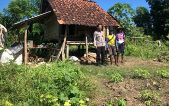 Bhabinkamtibmas Desa Katua Pantau Pengolahan Lahan Pertanian untuk Dukung Ketahanan Pangan