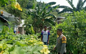 Bhabinkamtibmas Kendo Cek Pekarangan Pangan Bergizi untuk Dukung Ketahanan Pangan Nasional