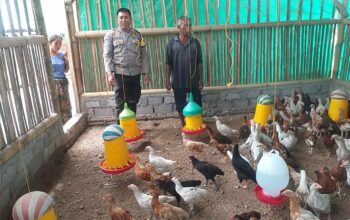 Kunjungi Peternak Ayam, Bhabinkamtibmas Sosialisasikan Ketahanan Pangan