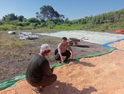 Bhabinkamtibmas Desa Doropeti Pantau Panen Jagung, Dukung Program Ketahanan Pangan Nasional 2025