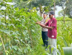 Bhabinkamtibmas Polsek Buer Dukung Ketahanan Pangan Nasional Lewat Pembinaan Petani