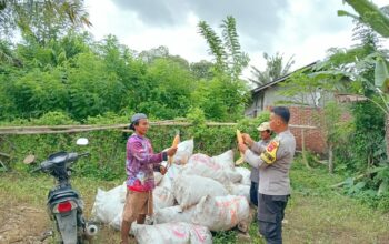 Bhabinkamtibmas Desa Kadindi Pantau Panen Raya Jagung, Dukung Ketahanan Pangan Nasional