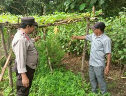 Bhabinkamtibmas Pantau Lahan Hortikultura Dukung Ketahanan Pangan Nasional
