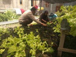 Bhabinkamtibmas Laksanakan Pengecekan Lahan Pekarangan Ketahanan Pangan Nasional