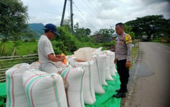 Bhabinkamtibmas Desa Ranggo Monitoring Lahan Jagung, Dukung Program Ketahanan Pangan Nasional