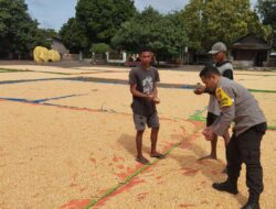 Bhabinkamtibmas Desa Ta’a Pantau Kegiatan Petani: Dukung Produktivitas dan Kesejahteraan Petani Jagung