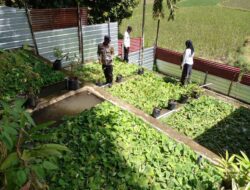 Bhabinkamtibmas Kelurahan Nungga Lakukan Pengecekan Lahan Pekarangan untuk Ketahanan Pangan Nasional