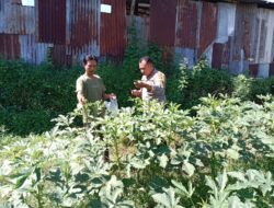 Polisi di Lombok Barat Terjun ke Sawah: Dukung Swasembada Pangan!