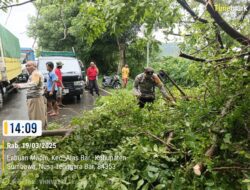 Polsek Alas Barat Bersama Masyarakat Evakuasi Pohon Tumbang yang Menutupi Jalan