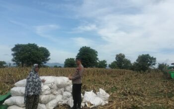 Pemantauan Lahan Pertanian dalam mendukung program ketahanan pangan Nasional