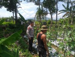 Bhabinkamtibmas Dukung Petani, Warga Semakin Semangat!