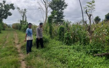 Bhabinkamtibmas Desa Nusa Jaya Pantau Pemanfaatan Lahan Pertanian, Dukung Program Ketahanan Pangan Nasional