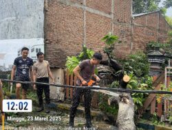 Aksi Cepat Tanggap Sat Samapta Polres Sumbawa Evakuasi Pohon Tumbang di Kebayan