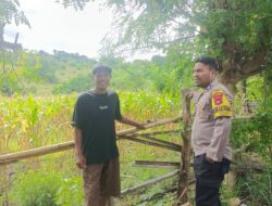 Dukung Ketahanan Pangan, Bhabinkamtibmas Karombo Pantau Lahan Pertanian Warga