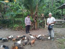 Polsek Batulayar Dukung Ketahanan Pangan, Warga Antusias!