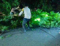Kabel Listrik Melintang Di Jalan Akibat Pohon Tumbang, Polsek Labuhan Badas Amankan Arus Lalu Lintas Hingga Evakuasi