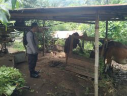 Polri Dorong Ketahanan Pangan: Bhabinkamtibmas Ajak Warga Manfaatkan Pekarangan