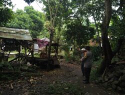 Dukung Ketahanan Pangan, Polsek Batulayar Ajak Warga Manfaatkan Pekarangan