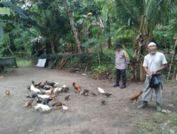 Polsek Batulayar Gencarkan Program Ketahanan Pangan, Ini Manfaatnya!