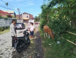 Optimalisasi Lahan Pekarangan untuk Ketahanan Pangan Keluarga
