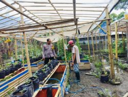 Polsek Labuapi Dukung Program Ketahanan Pangan Lewat Kegiatan Sambang di Desa Bajur