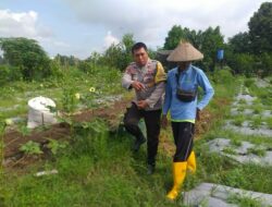 Bhabinkamtibmas Dorong Ketahanan Pangan Desa di Lombok Barat