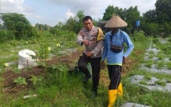 Bhabinkamtibmas Desa Jagaraga Aktif Sosialisasi Ketahanan Pangan, Warga Antusias Menyambut