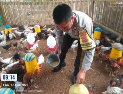 Bhabinkamtibmas Jagaraga Dorong Ketahanan Pangan Lewat Kunjungan ke Peternak