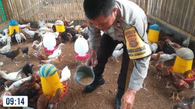 Bhabinkamtibmas Jagaraga Dorong Ketahanan Pangan Lewat Kunjungan ke Peternak