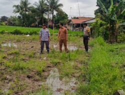 Bhabinkamtibmas Kuripan Utara Dorong Pemanfaatan Lahan untuk Ketahanan Pangan