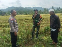 Polisi Sambangi Sawah, Warga Senang dan Aman