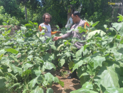 Bhabinkamtibmas Polsek Rhee Berikan Motivasi kepada Warga Desa Luk untuk Tingkatkan Ketahanan Pangan