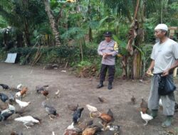 Dekat dengan Warga, Polisi Dorong Pemanfaatan Lahan Pekarangan di Batulayar