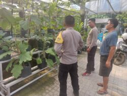 Polres Loteng Tinjau Pekarangan Lahan Bergizi Milik Warga