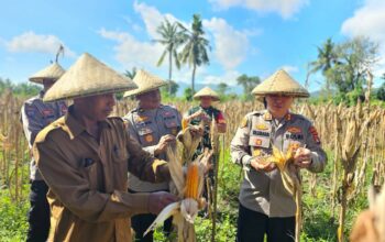 Kapolres Lombok Barat Hadiri Panen Raya Jagung, Sinergi Polri dan Petani Jaga Ketahanan Pangan