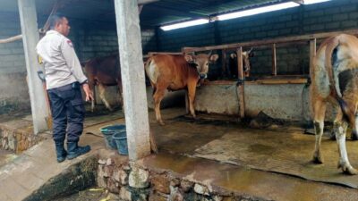 Bhabinkamtibmas Karang Bongkot Bantu Warga Kembangkan Peternakan