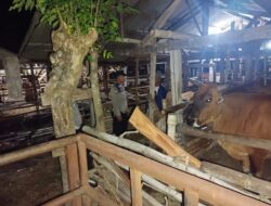 Patroli Intensif Polsek Gerung Jaga Malam, Antisipasi Kejahatan!