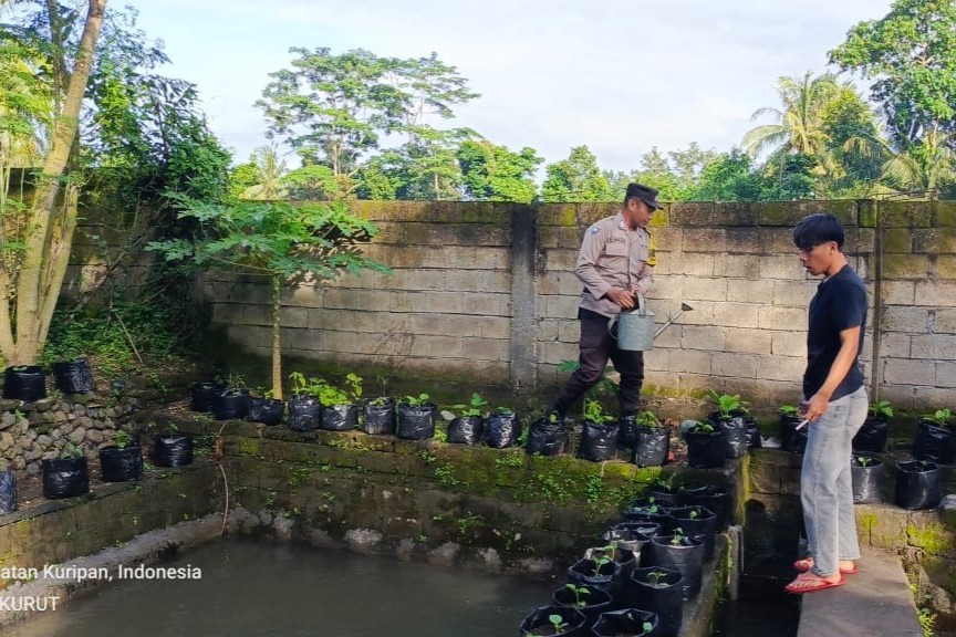 Polisi dan Pemuda Bersatu Jaga Lingkungan dan Dorong Ketahanan Pangan di Kuripan